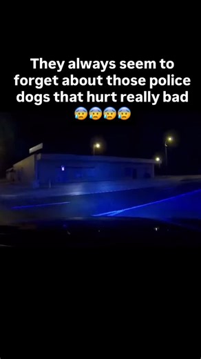 55K views · 10K reactions | Tough lesson to learn and scars to never forget. Maybe you should just pull over and obey the law but who am I to make sense in 2025? | Street Cop Training | Facebook