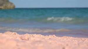 Bermuda Pink Sand Beach Images – Browse 591 Stock Photos, Vectors, and Video