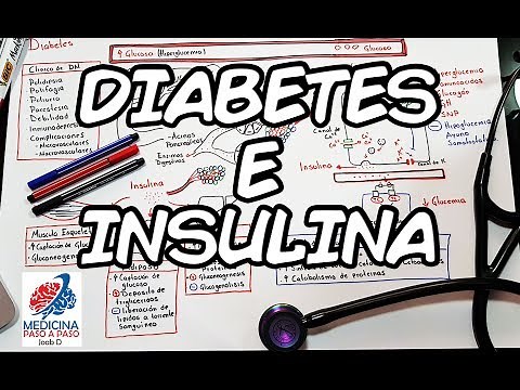 Fisiología: Diabetes e Insulina. Generalidades