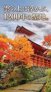 【比叡山延暦寺】雲の上に浮かぶ、1200年の聖地。