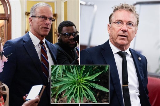 Proposed hemp ban tucked into federal funding bill could stall end to government shutdown