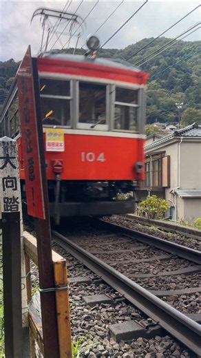 電車にご注意くださ～い #箱根登山電車 #箱根登山鉄道 #大平台駅 #大向踏切 #100形 #104 #鉄道 #電車 #train #railway