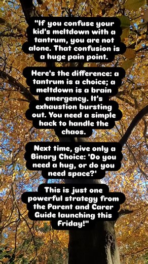 Is It a Meltdown or a Tantrum? The AuDHD Answer You Need. ​ ​If you’ve ever confused your child’s meltdown for a tantrum, you are not alone. That confusion and guilt hurt both of you. ​I know, because as an Autistic person with ADHD traits, my meltdowns were often punished because they looked like defiance. But they weren't defiance—they were an emergency. ​Let's keep it simple for our AuDHD families: ​Tantrums are usually a choice focused on getting something (like a toy). ​Meltdowns are when t