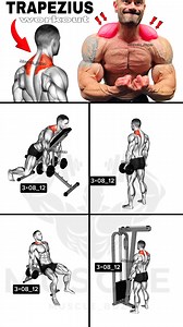 335K views · 2.8K reactions | Trapezius workout | Muscle Buzz | Facebook