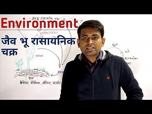 Environment- Biogeochemical Cycle