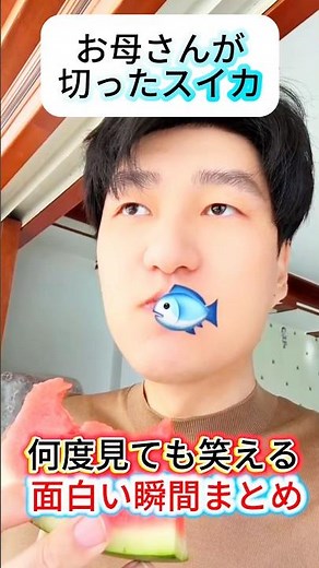 何度見ても笑える面白い瞬間まとめ #元気になる動画 #面白集 #元気お届け #面白い #爆笑 #すごい