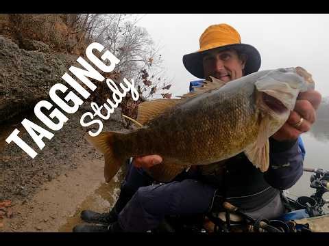 Fish Tagging Study on Potomac River Smallmouth Bass