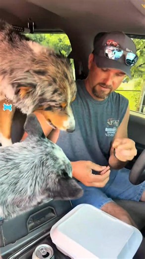 67K views · 1K reactions | - 7386838624702041374_fix_000 #bestfriend | J. Patters | Facebook