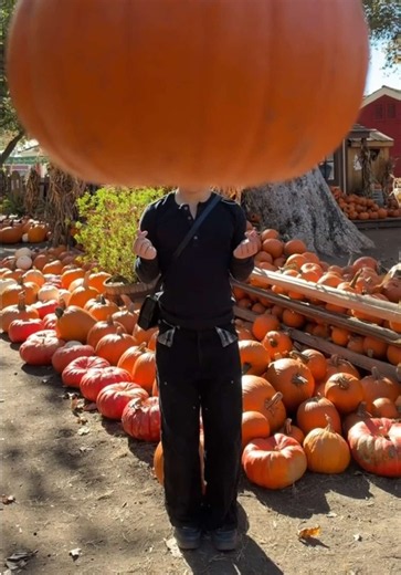 Pumpkin patch fits 🎃🍂 @matthew | pumpkin patch outfits