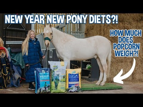 ALL THE PONIES GET WEIGHED! NEW YEAR PONY DIETS!