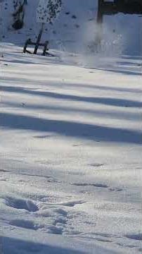 19x with RMR, first time training at 100 yards.