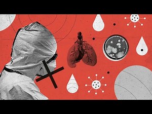 What is the coronavirus? Everything you need to know about symptoms, how to stay safe and what next