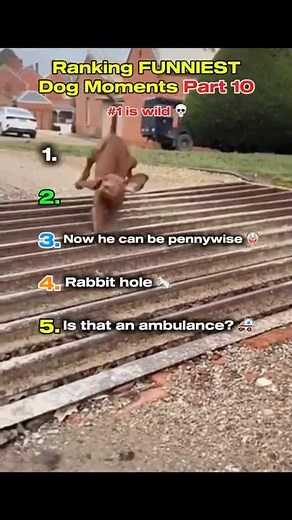 Don’t Click On The Sound 👽