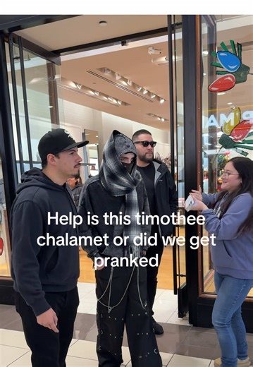 Timothee chalamet look alike contest 😙😙😙#timotheechalamet #esdeekid #fyp #trending #fypシ