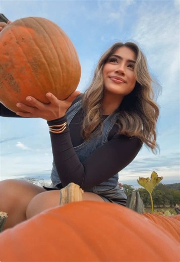 Pumpkin Season Fun: Visiting a Farm, Pumpkin Patch & Corn Maze