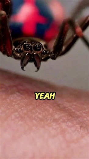 This Spider-Man Scene Used a REAL Spider 🤯
