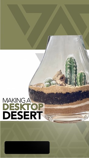 3.3K views · 152 reactions | The making of a desktop desert terrarium  #terrarium #terrariumdesign #terrariumlove #terrariumdreams #moss #howto #diy #fyp #terrariumsofinstagram #portland #cactus #succulents #beaverton #pdx #plantshop #local #smallbusiness #plantsplantsplants #plants #plantsmakepeoplehappy #plantsoffacebook | Johnathon Q Swanson | Facebook