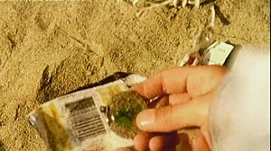 35K views · 174 reactions | Perhaps you can remember the TV adverts that were made in the late 1980s and 90s which were aimed at stopping the violence of the Troubles. The NIO made over 25 of the commercials which are the focus of a new BBC programme - called Ads on the Frontline. Michael Fitzpatrick has been taking a look: | BBC Newsline | Facebook