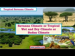 C24-Tropical Savanna Climate - Tropical Wet and Dry Climate - Sudan Climate - Vegetation, Economy