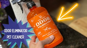 Watch You have to see this Angry Orange demo on Amazon Live