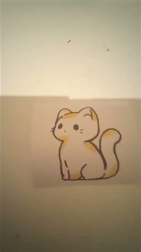 comment faire un chat en transition