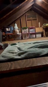 New small opening aluminum ￼attic ladder. ￼ | Handyman and Carpentry Services by Brian Roche