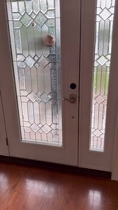 179K views · 62K reactions | When your baby mama let her boyfriend discipline yall kids  #comedy #shaderoom #wshh @ambitiousthtiam @lay_brookzz @mojobodybagzz | Dyon Brooks | Facebook