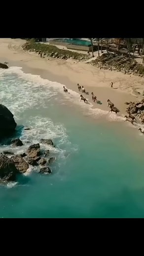 8.3K views · 99 reactions | Wow! The wild and beautiful Sumba Island...