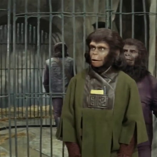 Human See, Human Do | Pineapple