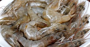 Check your freezer: FDA recalls possible radioactive shrimp sold at Walmart