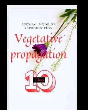 10 th class reproduction#Natural propagation( examples)#shortvideo #youtubeshorts #shortsfeed