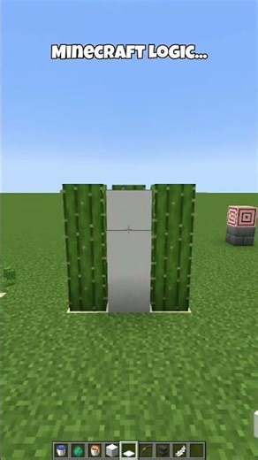 Minecraft Logic...🤯 #minecraft #shorts