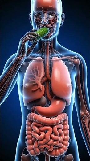 #animation #ihavethisthingwithplants