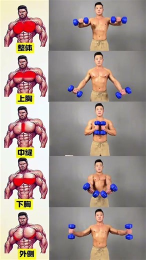 Top 10 Dumbbell Pectoral Exercises: Master Your Chest
