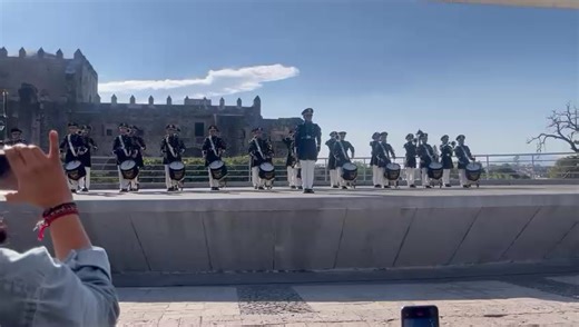 Why Alces Are the Best: A Celebration of Their Excellence