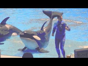 [[ ιѕ тнєяє αηyвσ∂y συт тнєяє ? ]]