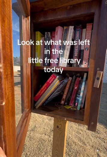 Discovering My Personality in the Little Free Library