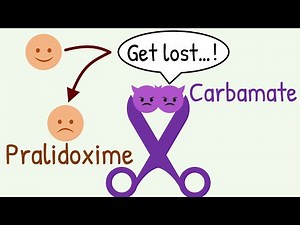 Why Pralidoxime is CONTRAINDICATED in Carbamate Poisoning?