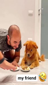 Two best friends, one mission Devour everything in sight! 🍽️🐶 . . . #pet #funny #dog #foryou #asmr | Stanley Dirt Mardim