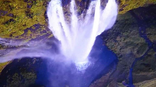 What Do Aliens Look Like