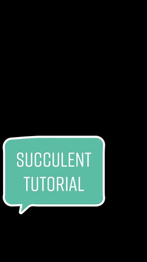 Succulent Doodle Tutorial - Plant Aesthetic Drawing