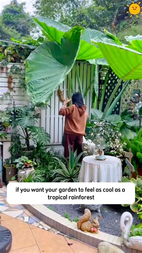 4.3K views · 43 reactions | Turn your garden into a tropical rainforest | Terra Nursery | Facebook