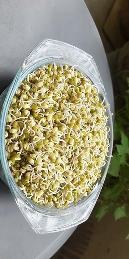 sprouts how to make | sprouts making | sprouts at home | sprouts growing