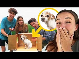 WHAT'S IN THE BOX CHALLENGE