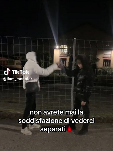 Fratelli Sempre Uniti: La Nostra Forza e Legame