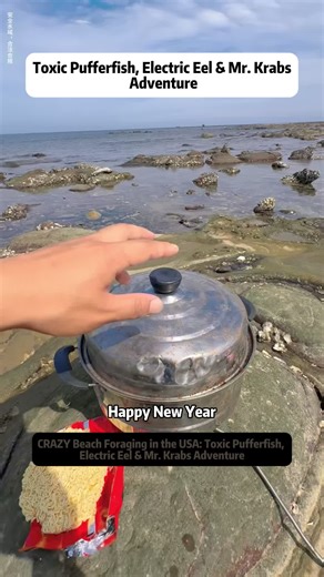 CRAZY Beach Foraging in the USA: Toxic Pufferfish, Electric Eel & Mr. Krabs Adventure This wild beach foraging adventure is packed with crazy ocean creatures, funny storytelling, and real-life survival tips from the shore. From catching a cute but dangerous pufferfish to encountering a shocking electric eel, this video blends entertainment with educational marine life facts that you won't forget. Set in a coastal environment similar to Florida beaches and California tide pools, this experience s
