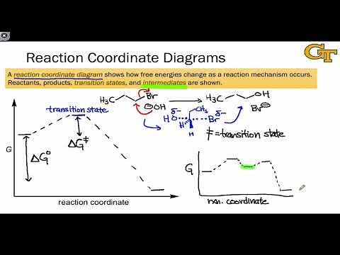 04.02 Reaction Coordinate Diagrams and Stability Trends