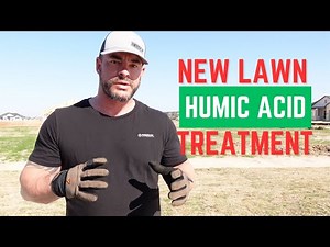 Transform Your Bermuda Lawn with Humic Acid