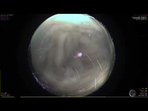 Allsky Star Trails Timelapse - 2025-10-16 - Night