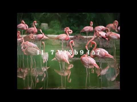 F Major 2-5-1 Backing Track (Bossa Nova)